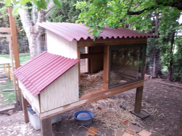 The Hen House